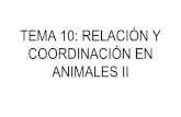 TEMA 10: RELACIÓN Y COORDINACIÓN EN ANIMALES II