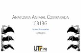 ANATOMIA ANIMAL COMPARADA CB13G