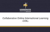 Collaborative Online International Learning -COIL-