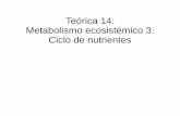 Teórica 14: Metabolismo ecosistémico 3: Ciclo de nutrientes