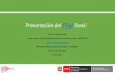 Presentación del PDM Brasil
