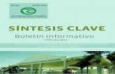 SÍNTESIS CLAVE - cis.unlam.edu.ar