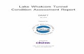 Lake Whatcom Tunnel Condition Assessment Report