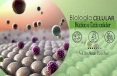 Biologia CELULAR Núcleo e Ciclo celular
