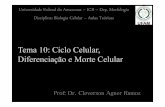 Tema 14 - Ciclo Celular- Diferenciação e Morte Celular