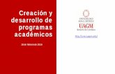 Creación y desarrollo de programas académicos