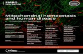 Mitochondrial homeostasis and human disease