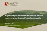 Rightsizing expectations for carbon dioxide removal ...