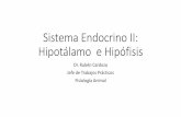 Sistema Endocrino II: Hipotálamo e Hipófisis