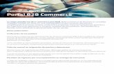 Ekomercio Electrónico Portal B2B Commerce