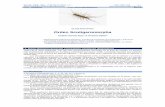 LASE C Orden Scutigeromorpha - SEA: Sociedad Entomológica ...