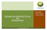 Directora Ejecutiva Fundación TERRAM DESAFÍOS ENERGÉTICOS ...