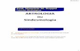 Ciências Morfológicas ARTROLOGIA ou Sindesmologia