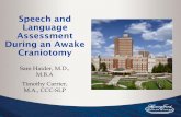 Speech and Language Assessment During an Awake Craniotomy