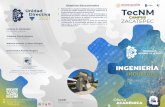Ing Industrial - Instituto Tecnológico de Zacatepec
