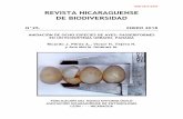 ISSN 2413-337X REVISTA NICARAGUENSE DE BIODIVERSIDAD