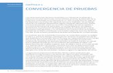 CONVERGENCIA DE PRUEBAS - UNCCD