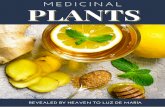 BOOK OF MEDICINAL PLANTS - Revelaciones Marianas