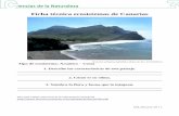 Ficha técnica ecosistemas de Canarias