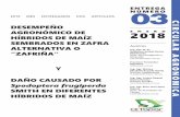 DESEMPEÑO AGRONÓMICO DE ENERO 2018 ... - cetapar.com.py