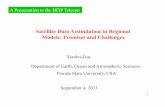 Satellite Data Assimilation in Regional Models: Promises ...