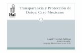 Transparencia y Protección de Datos: Caso Mexicano