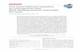 Post-transcriptional regulation in corticogenesis: how RNA ...