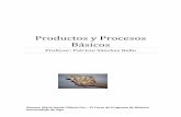 Productos y Procesos Básicos - caumas.org