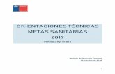 ORIENTACIONES TÉCNICAS METAS SANITARIAS 2019