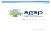BOLETÍN n°29 - 2016 - AGAP | Asociación de Gremios ...