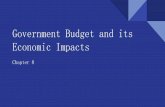 Government Budget and its Economic Impacts