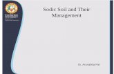 Sodic Soil and Their Management - Courseware