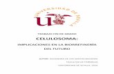 CELULOSOMA - idus.us.es