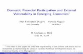 Domestic Financial Participation and External