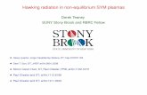 Derek Teaney SUNY Stony Brook and RBRC Fellow