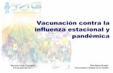 Vacunación contra la influenza estacional y pandémica