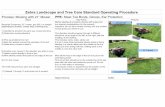 Zebra Landscape and Tree Care Standard Operating ... - Zoho