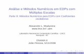 Análise e Métodos Numéricos em EDPs com Múltiplas Escalas ...