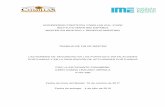 UNIVERSIDAD PONTIFICIA COMILLAS ICAI- ICADE INSTITUTO ...