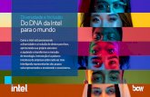 Diversidade e Inclusão Do DNA da Intel para o mundo