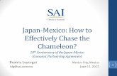 Japan-Mexico: How to Effectively Chase the Chameleon?