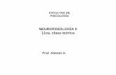 NEUROFISIOLOGÍA II 11va. clase teórica