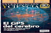 El GPS del cerebro - Investigación y Ciencia