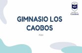 GIMNASIO LOS CAOBOS - Atlas de la diversidad