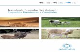Tecnología Reproductiva Animal Pequeños Rumiantes y Camélidos