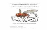 Análisis de la Recombinación en Machos de Drosophila ...