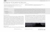 Imaging of Peripheral Nerves - Thieme