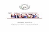 Aportes de AGAL a la Convención Constitucional