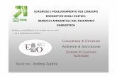 Consulenza di Direzione Ambiente & Innovazione Sistemi di ...