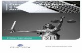 Curso Virtual de Reformas a la Justicia Civil en América ...